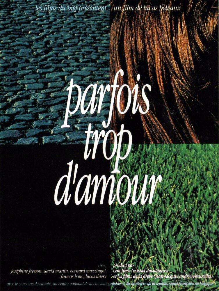 Parfois trop d'amour (1992)