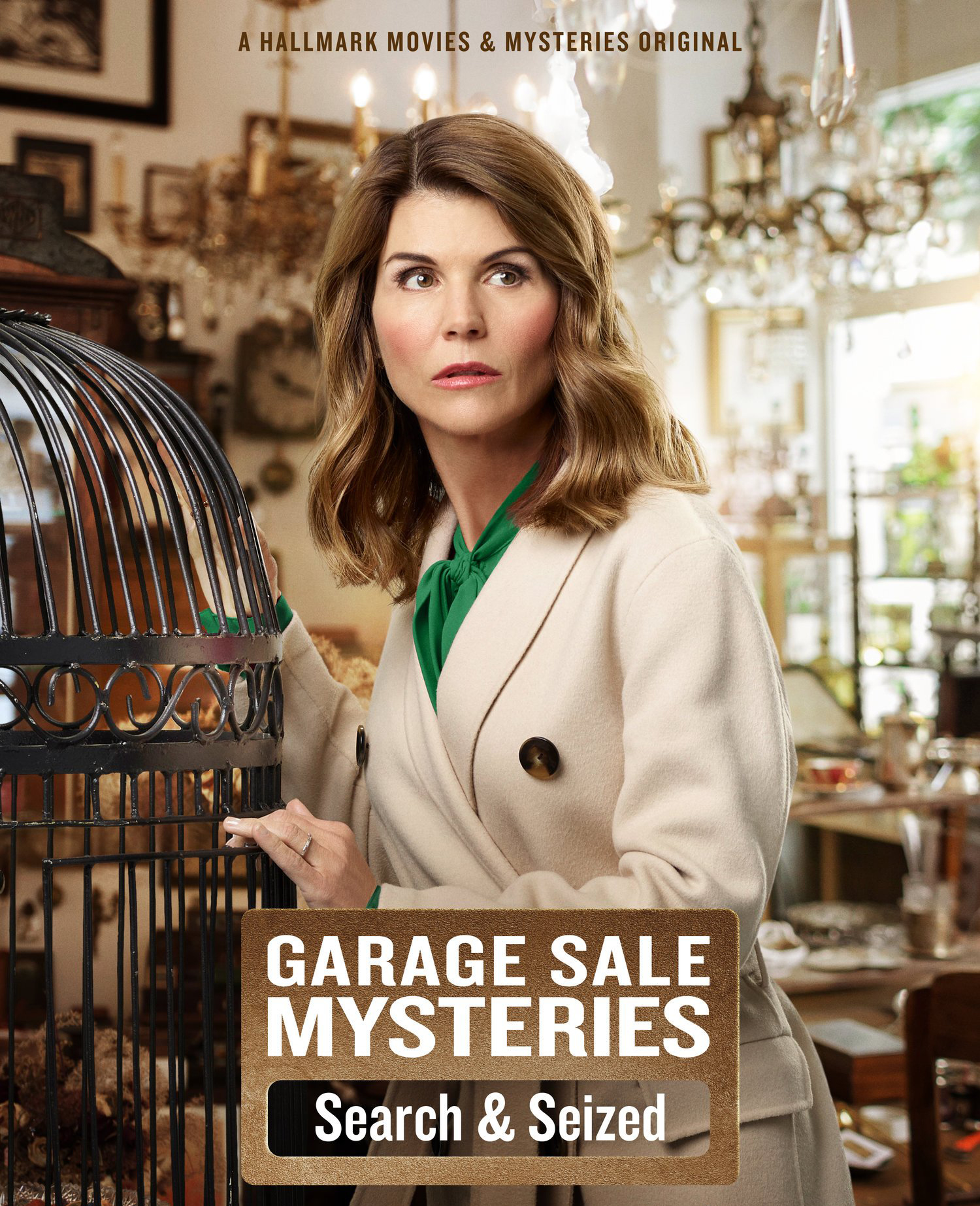 Garage Sale Mysteries: Searched & Seized (2019)