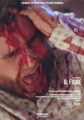 Il Fiore (2015)